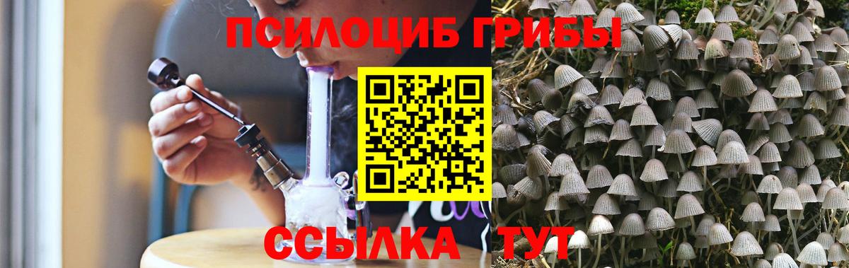 Псилоцибиновые грибы Psilocybine cubensis Керчь